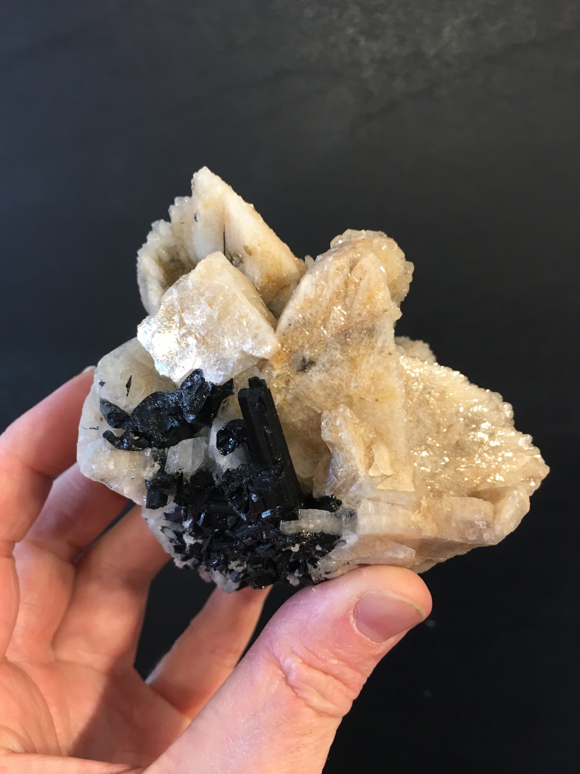 Black Tourmaline w/ Cleavelandite, Brasil