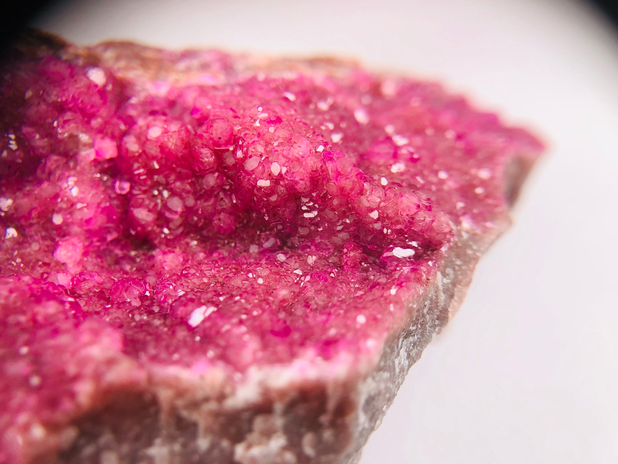 Cobaltoan Calcite