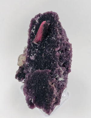 Rubellite Tourmaline on Lepidolite w/ Quartz