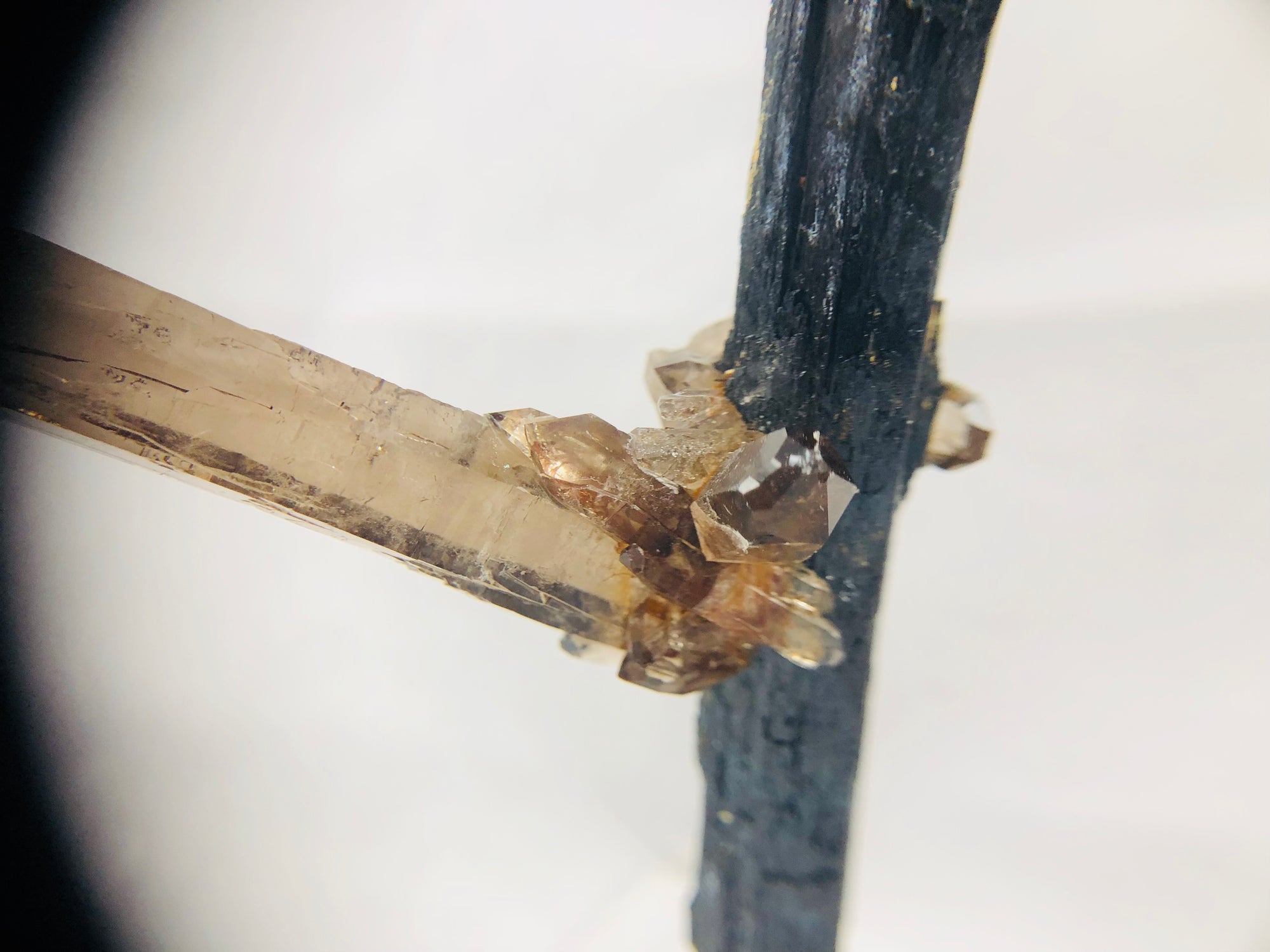 Smoky Quartz on Aegirine