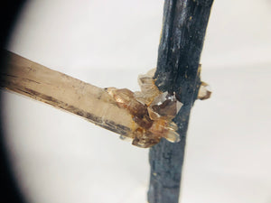 Smoky Quartz on Aegirine