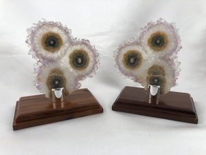 Amethyst Stalactite Slices in Wood Bases