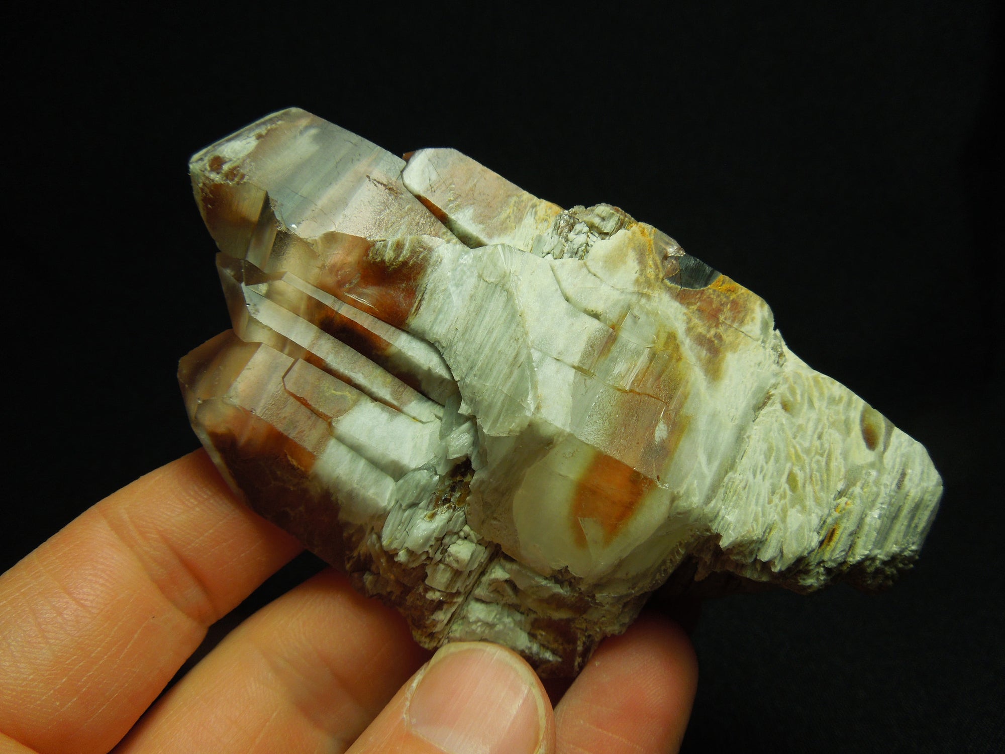 Amphibole Quartz