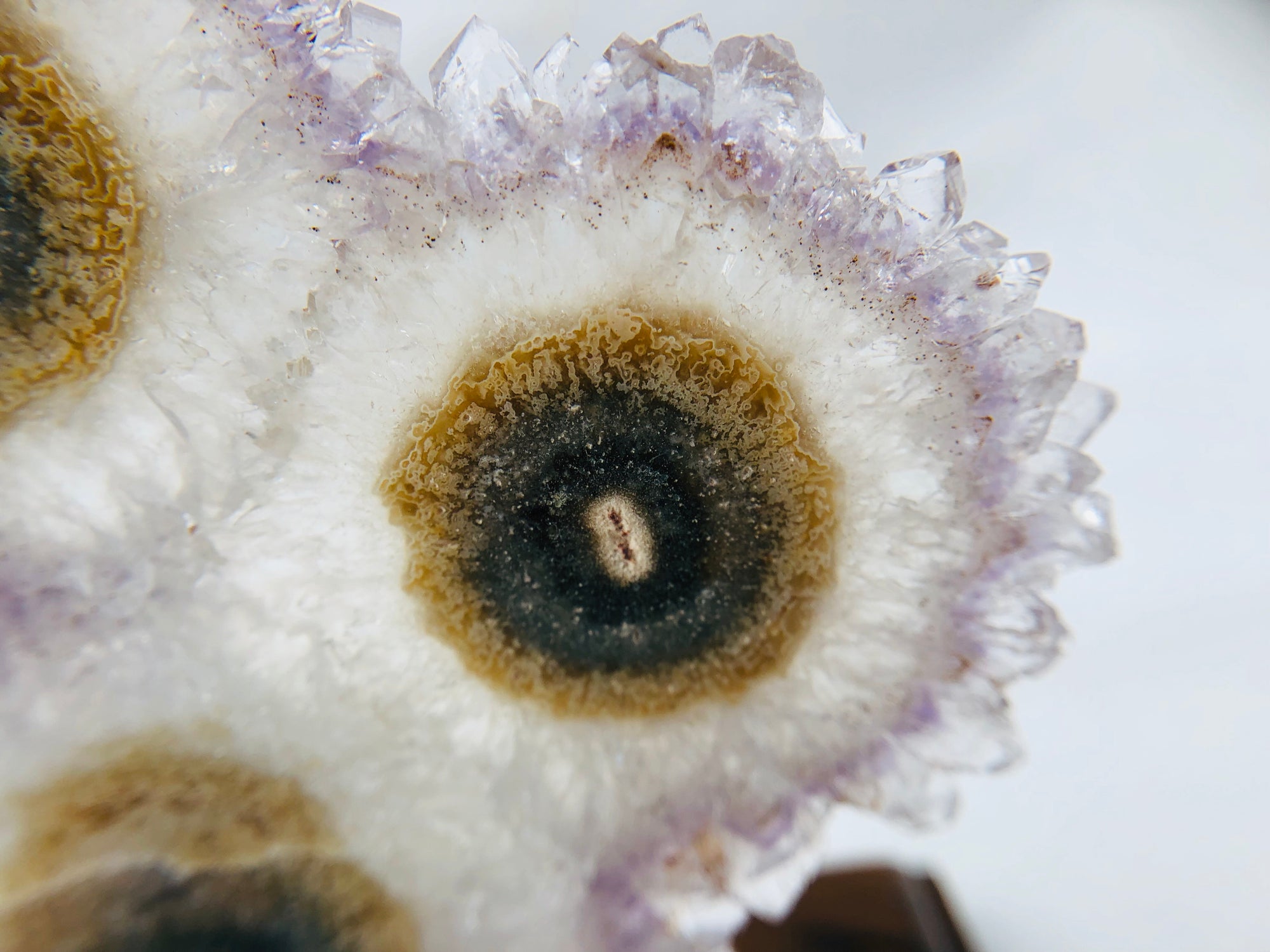 Amethyst Stalactite Slices in Wood Bases