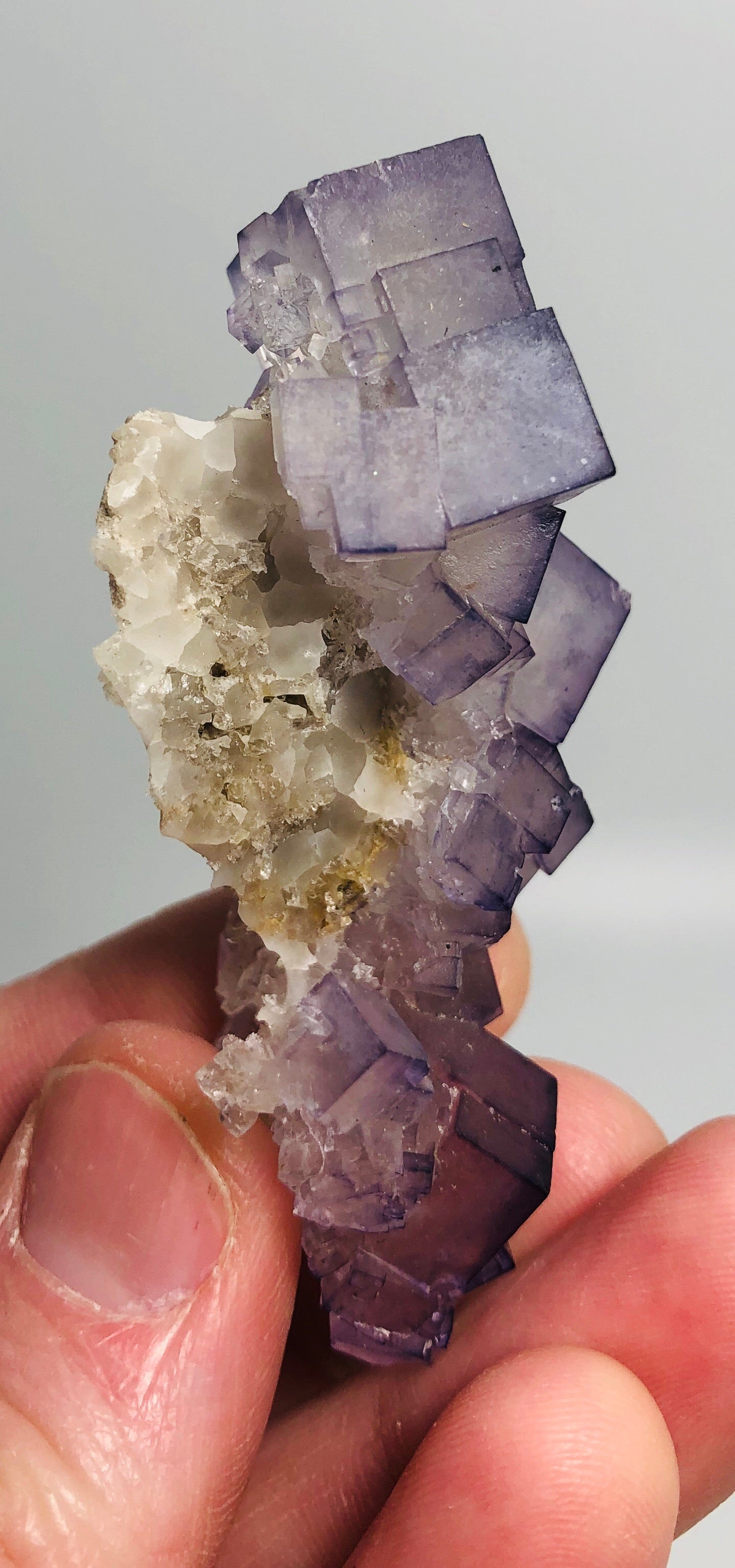 Fluorite, Tauorirt Mine, Morocco