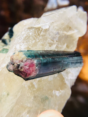 Bi-Color Tourmaline w/ Quartz