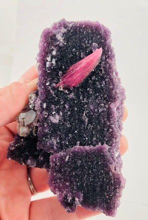 Rubellite Tourmaline on Lepidolite w/ Quartz