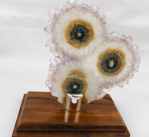 Amethyst Stalactite Slices in Wood Bases