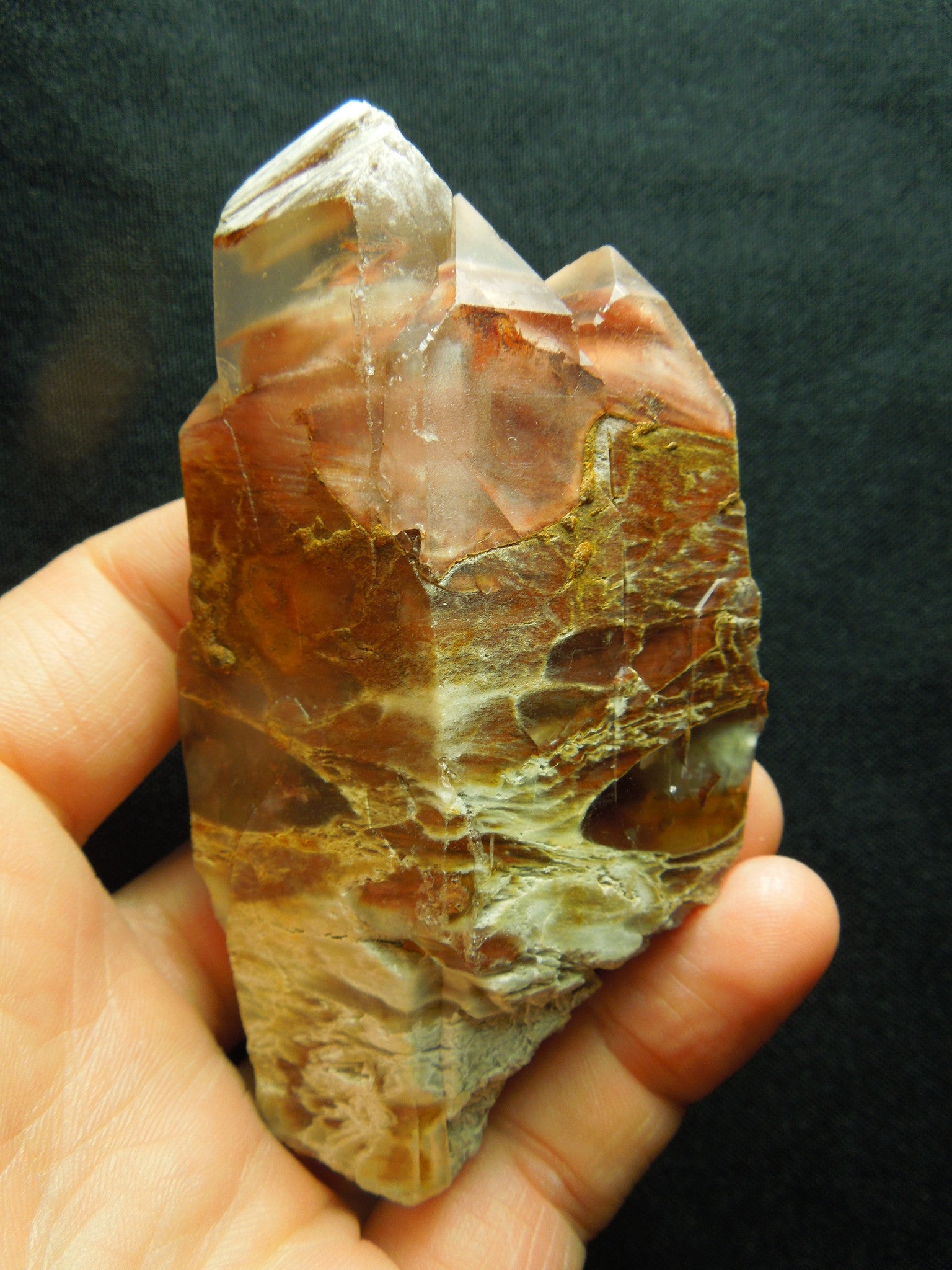 Amphibole Quartz