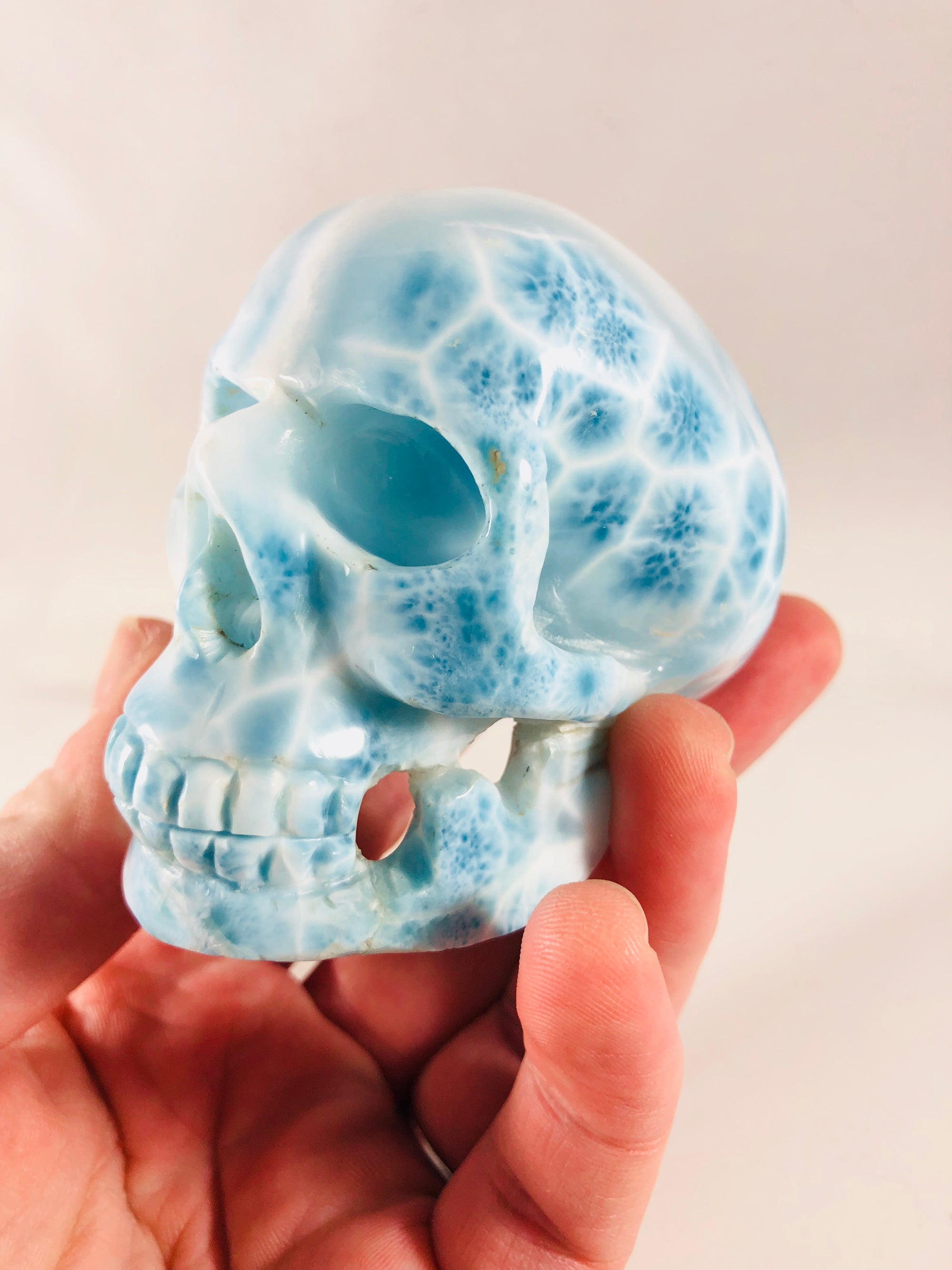 Larimar Skull
