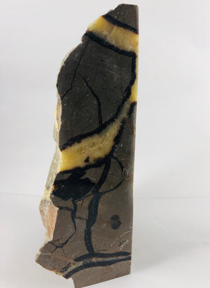 Septarian Bookends