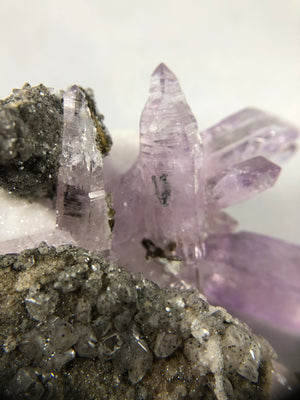 Vera Cruz Amethyst