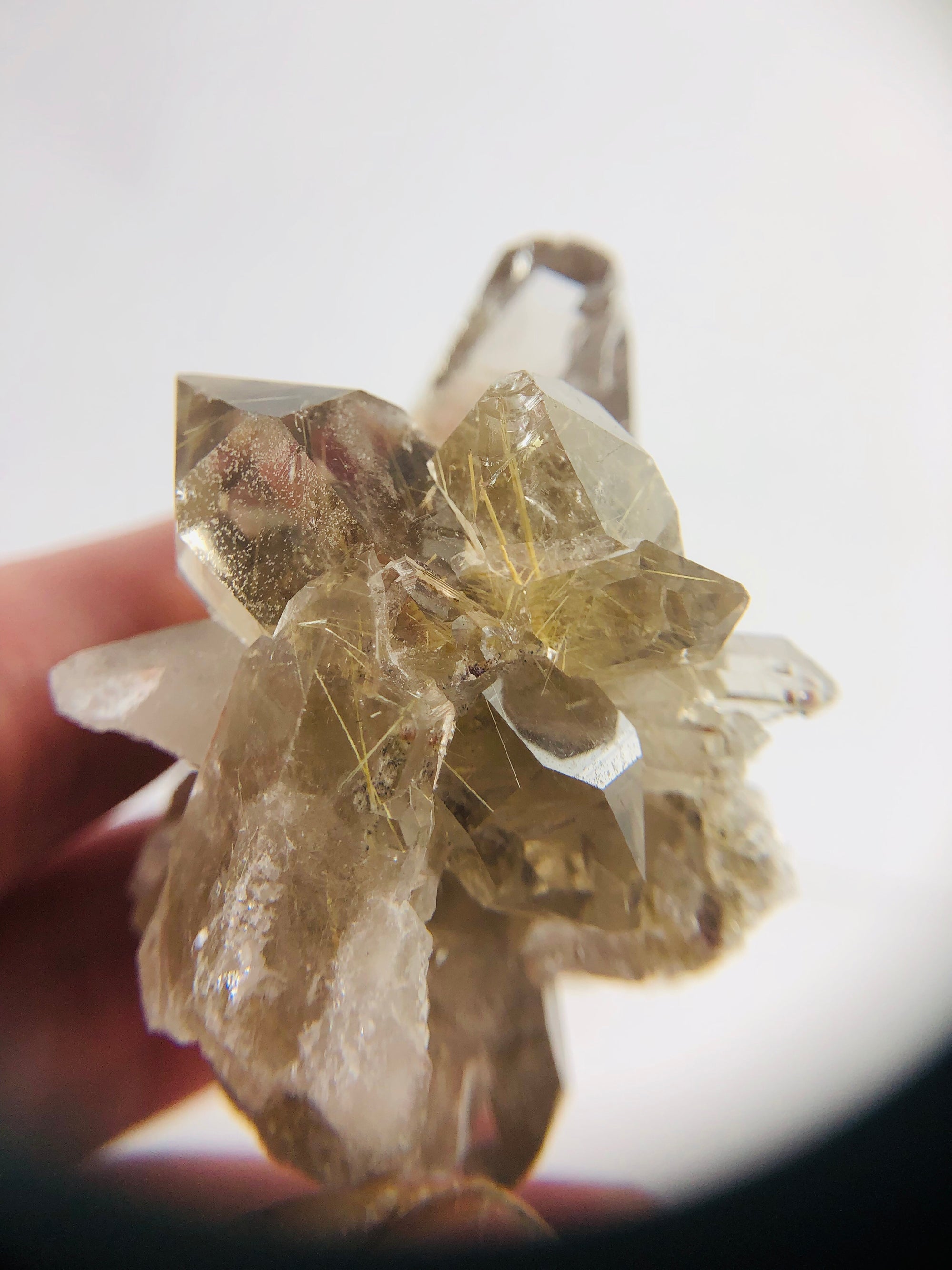 Rutilated Smoky Quartz