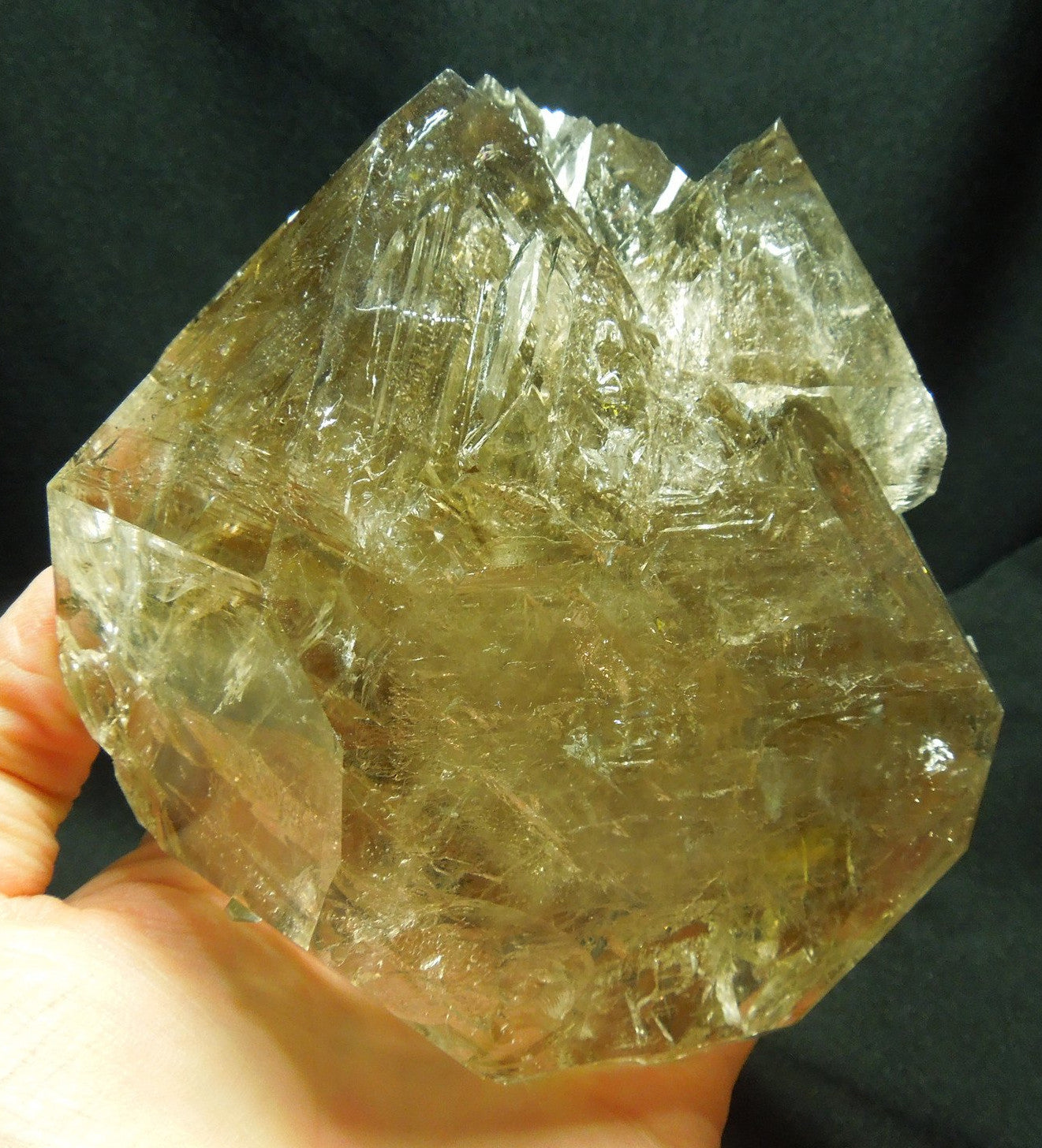 Smoky Elestial Quartz Enhydro, 2.8 lbs.