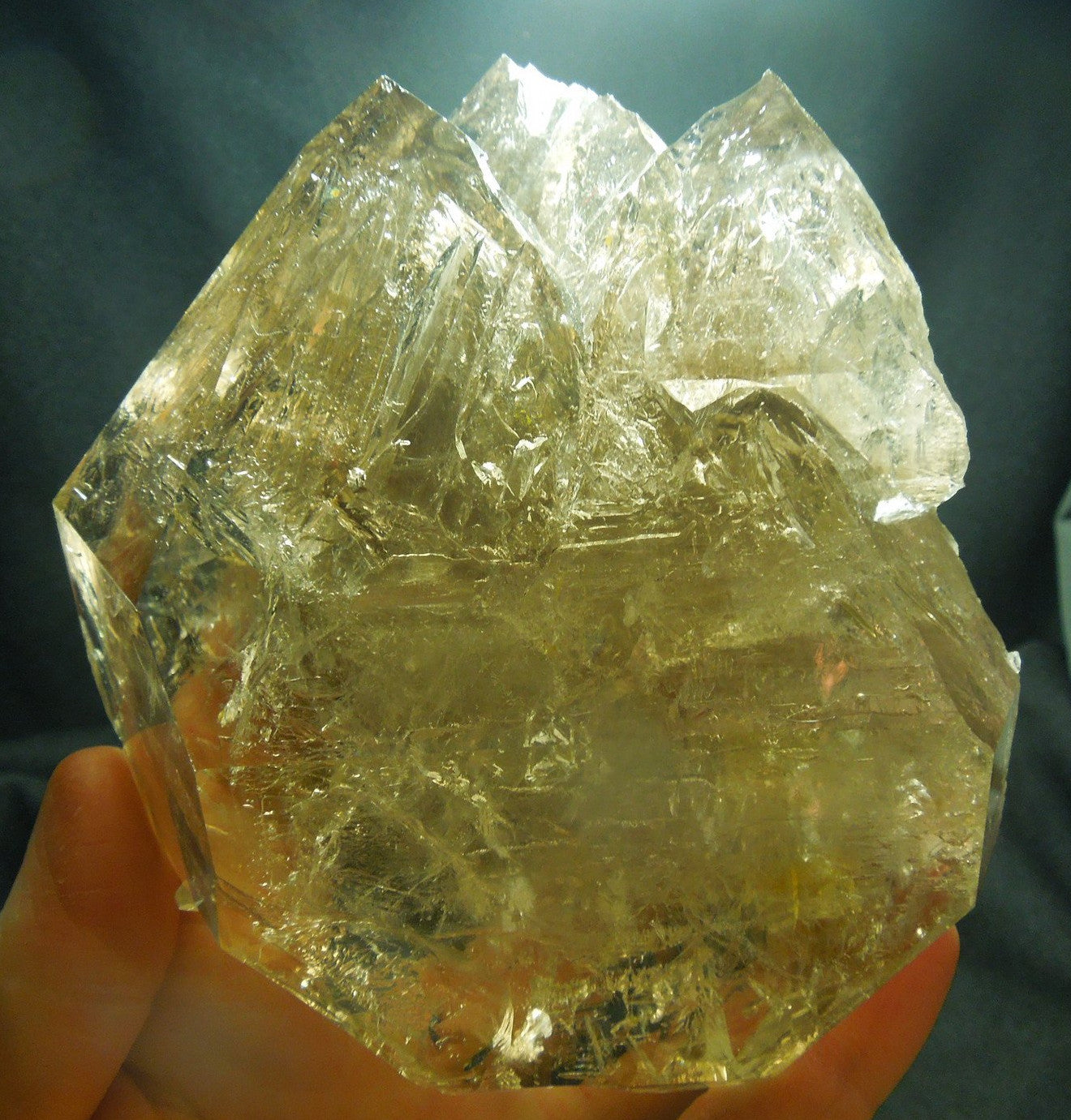 Smoky Elestial Quartz Enhydro, 2.8 lbs.