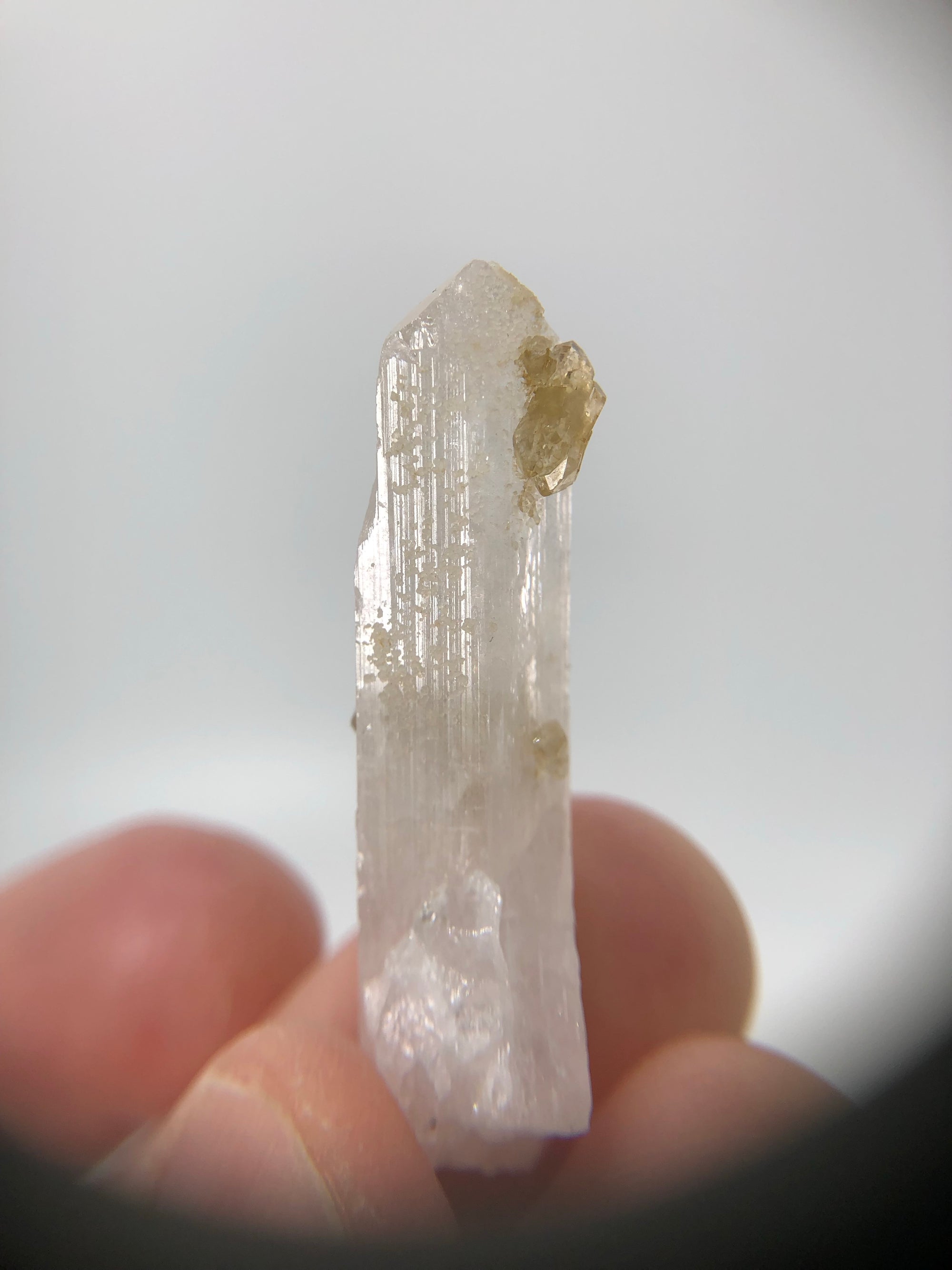 Danburite with Citrine, Mexico