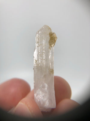 Danburite with Citrine, Mexico