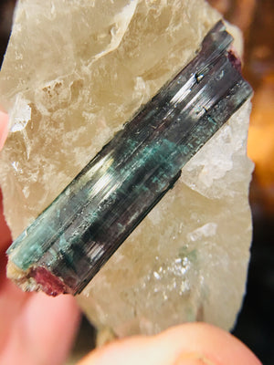 Bi-Color Tourmaline w/ Quartz