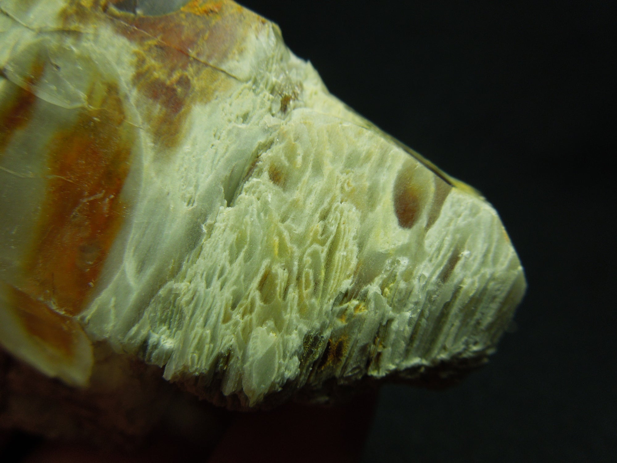 Amphibole Quartz