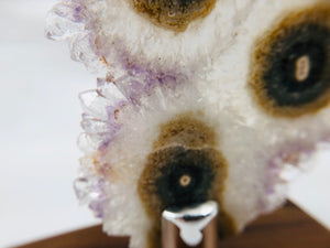 Amethyst Stalactite Slices in Wood Bases