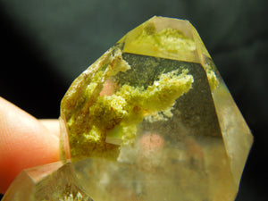 Chlorite Quartz Cluster w/ internal pyrite cube