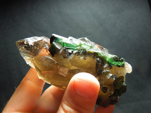 Smoky Cayhedral Quartz w/ Green Tourmaline