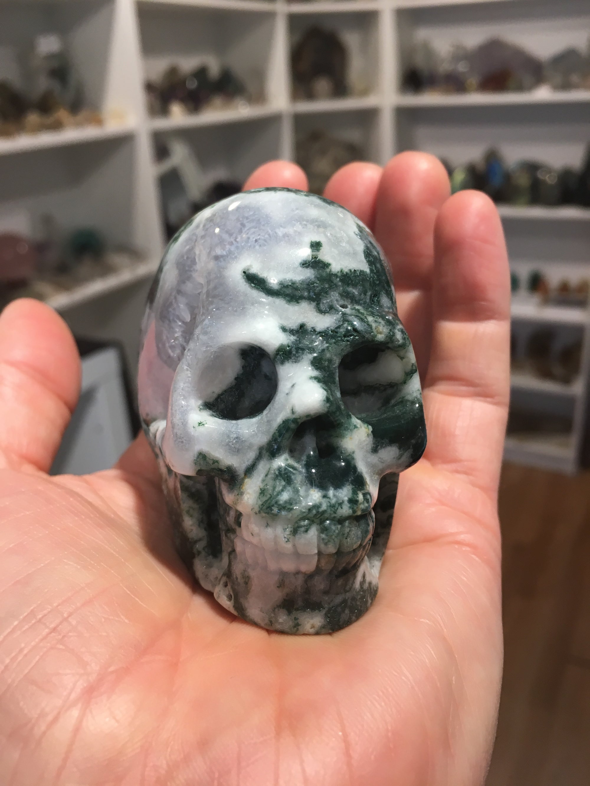Moss Agate Skull