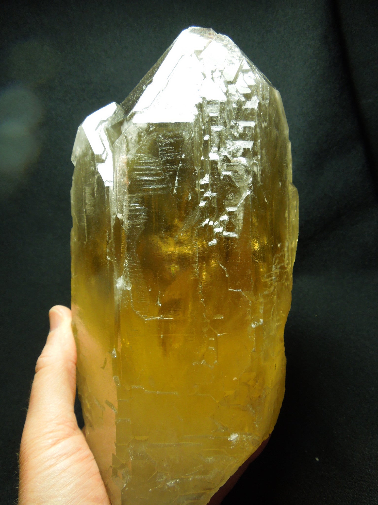 Natural Citrine Cathedral Quartz, 7.5 lbs.