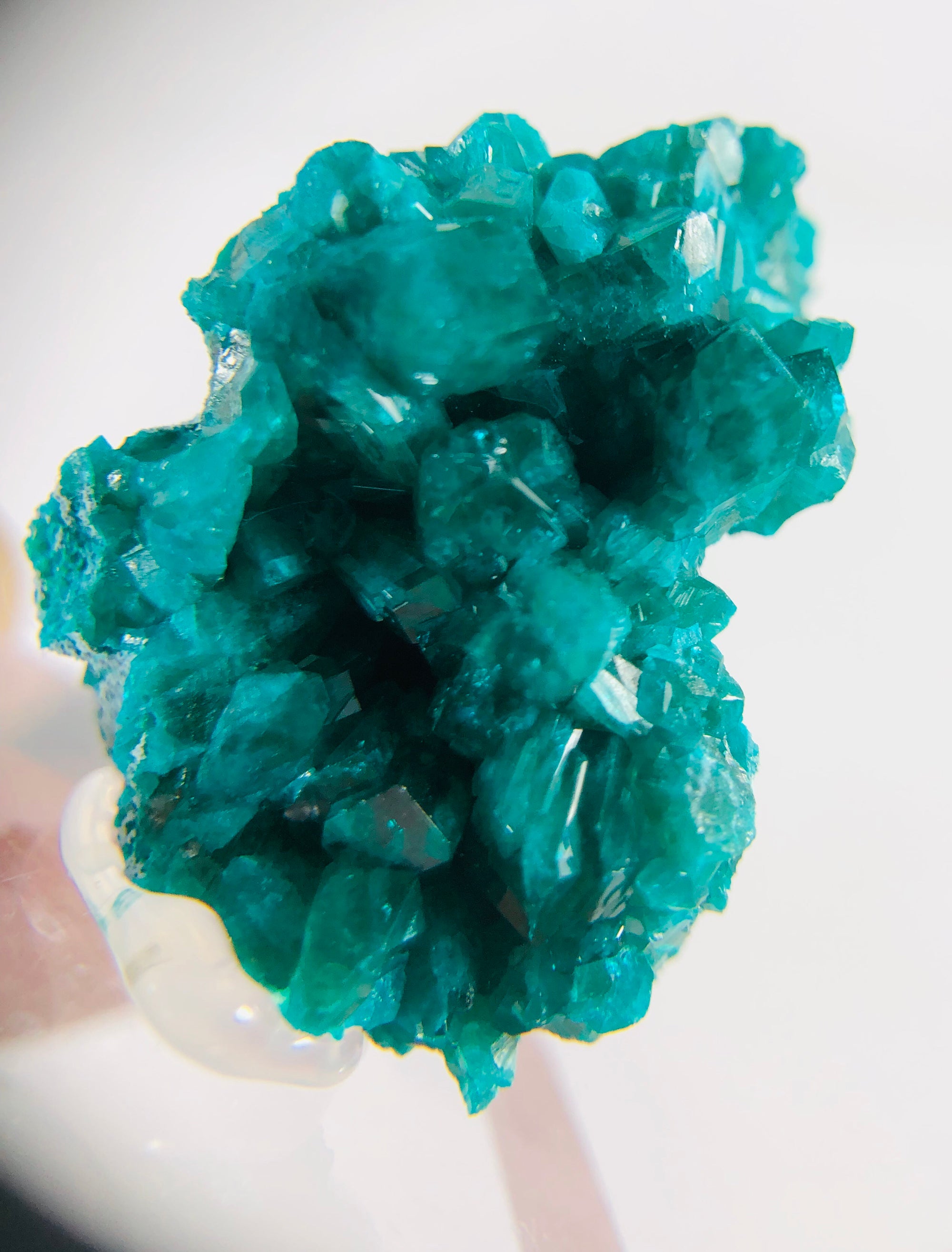 Dioptase Specimen, DRC