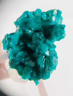 Dioptase Specimen, DRC