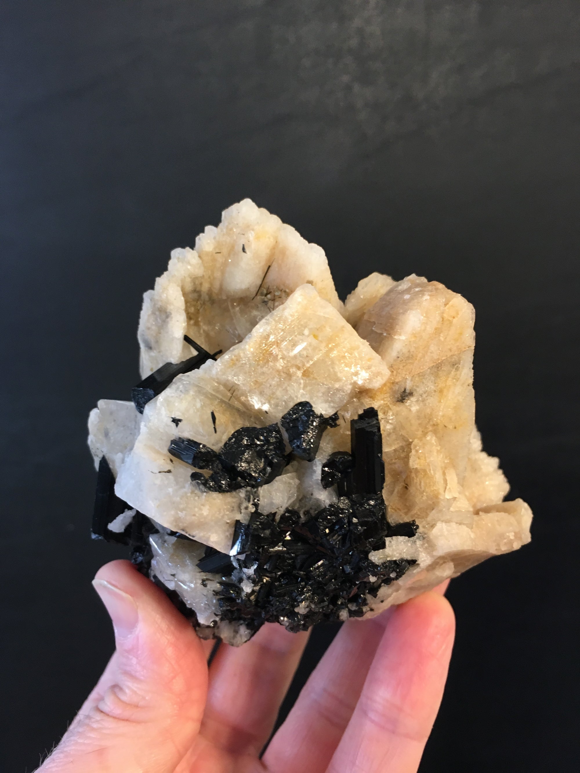 Black Tourmaline w/ Cleavelandite, Brasil