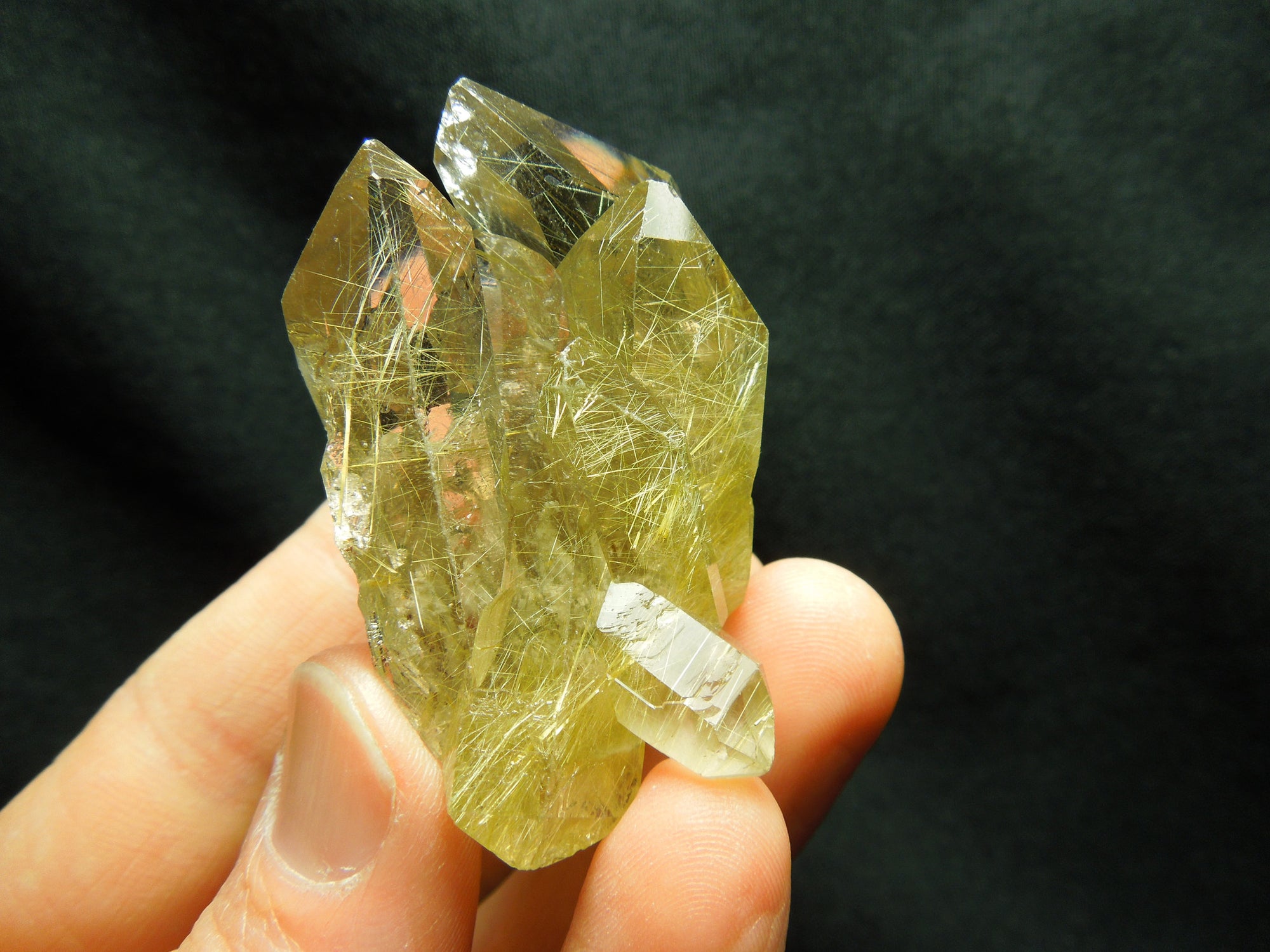 Rutilated Quartz
