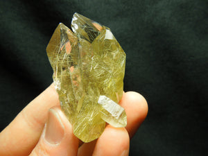 Rutilated Quartz