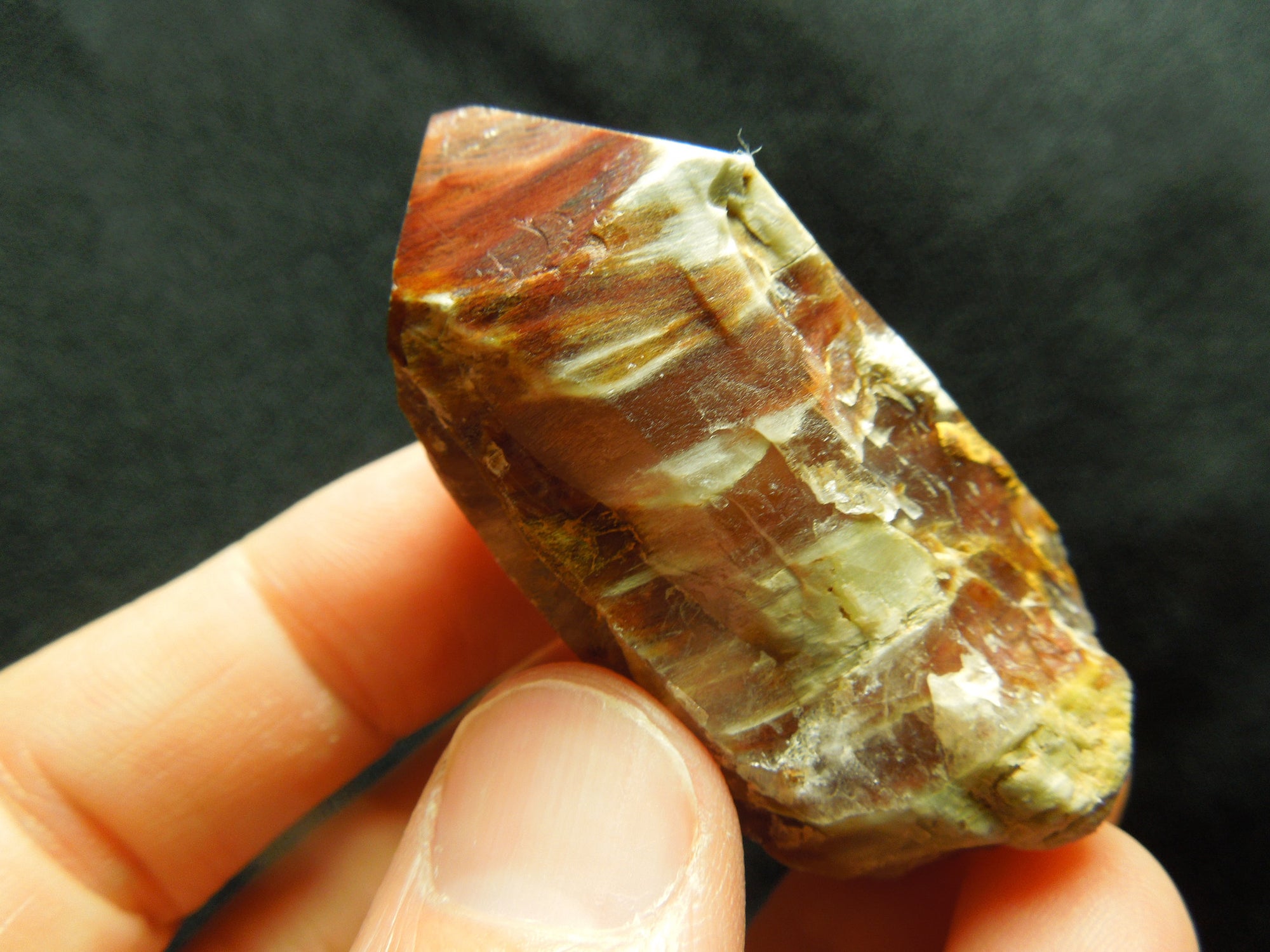 Amphibole Quartz