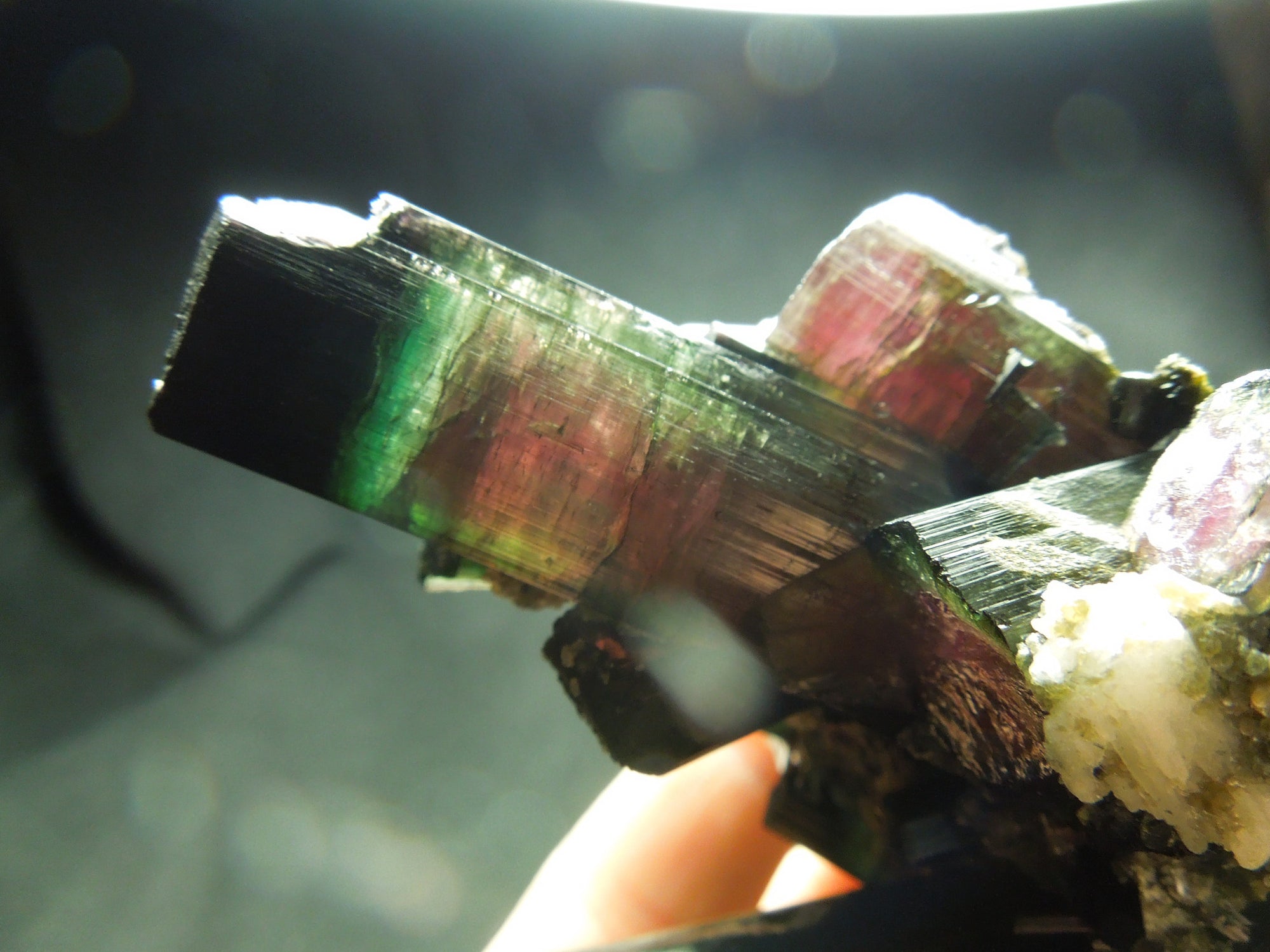 Watermelon Tourmaline w/ Quartz & Cleavelandite