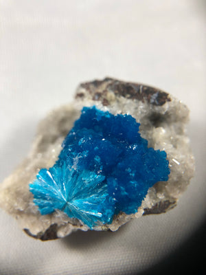 Cavansite Specimen from Wagholi, India