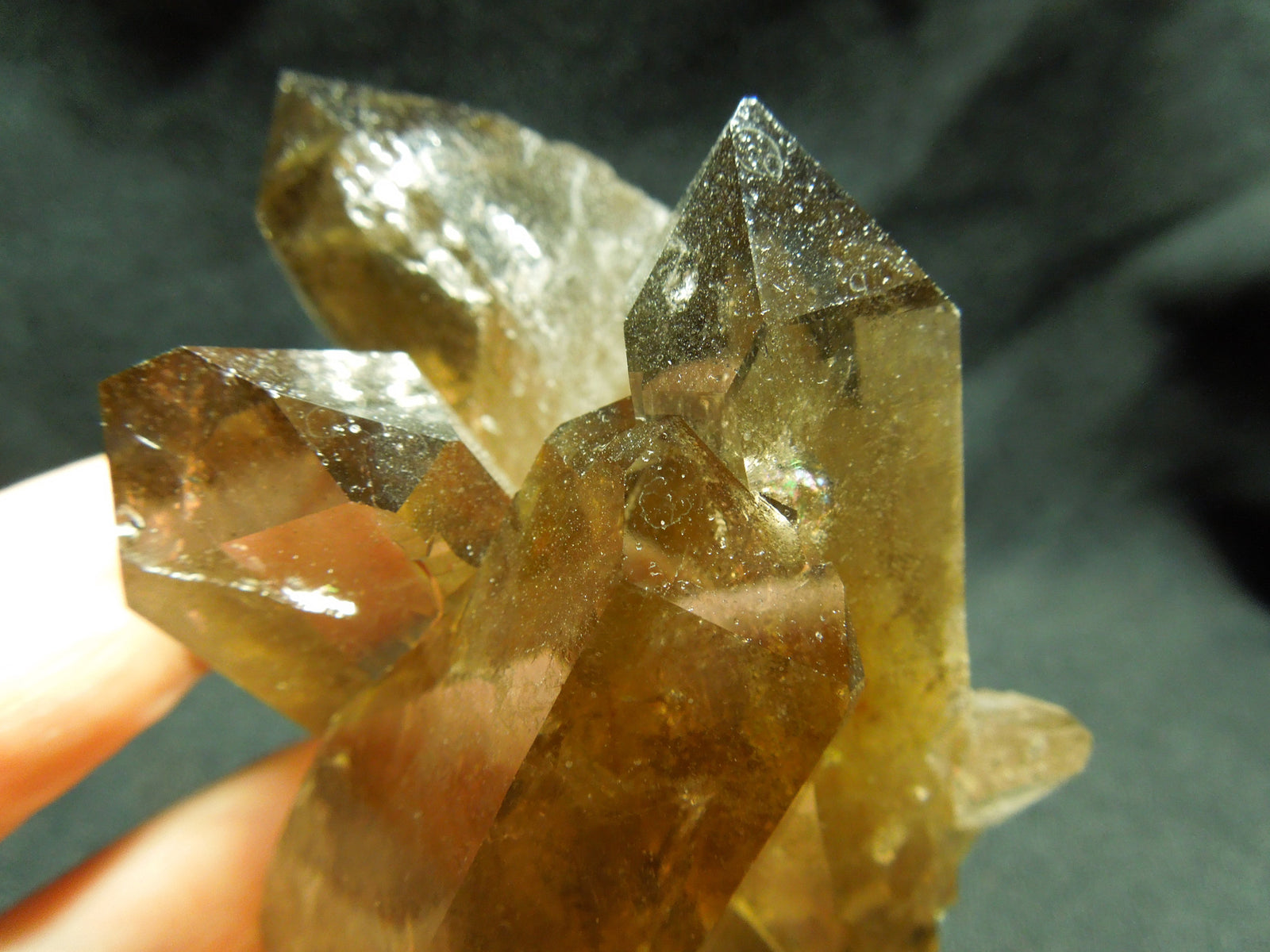 Smoky Quartz Cluster