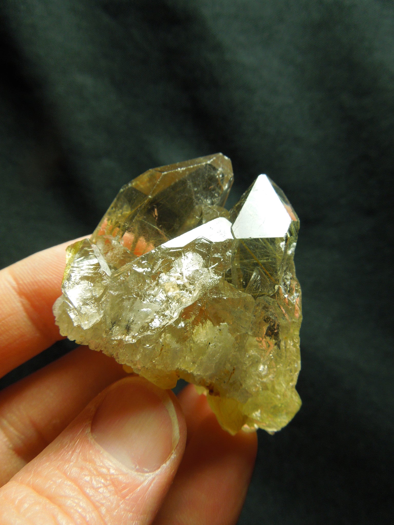 Rutilated Quartz