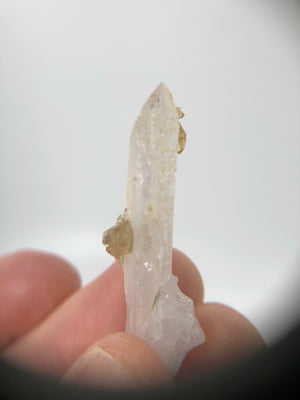Danburite with Citrine, Mexico