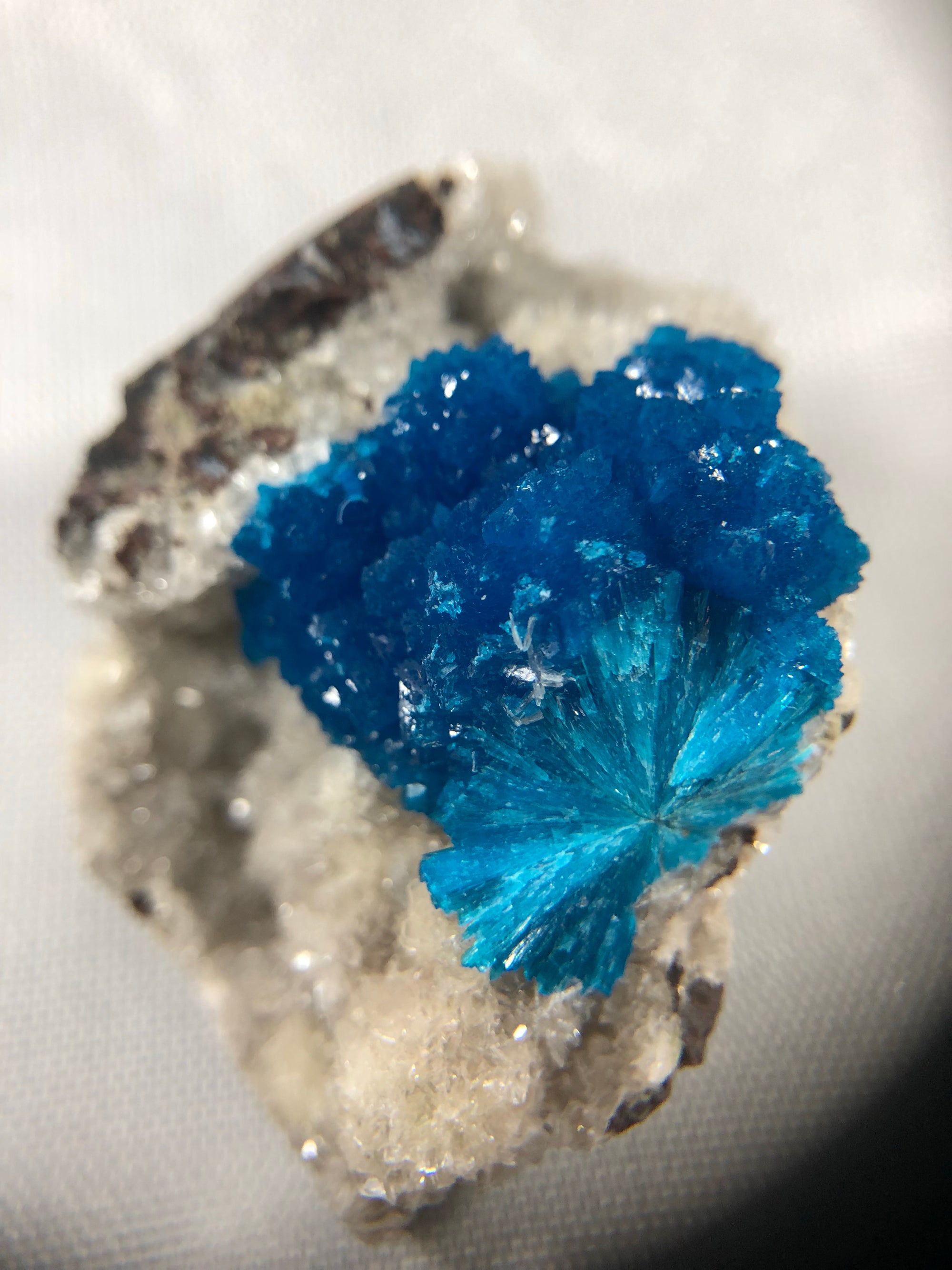 Cavansite Specimen from Wagholi, India