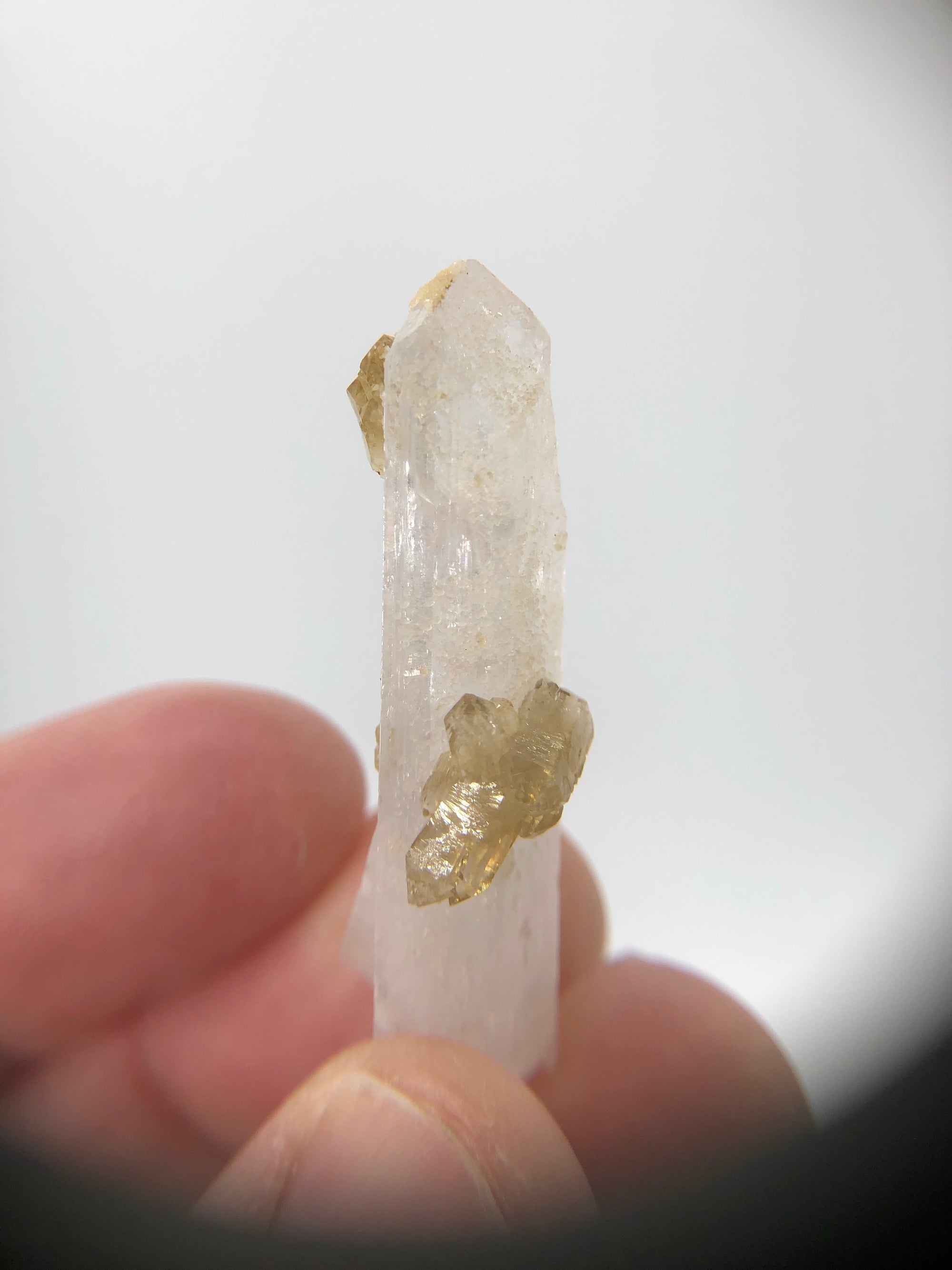 Danburite with Citrine, Mexico