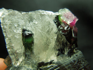 Watermelon Tourmaline w/ Quartz