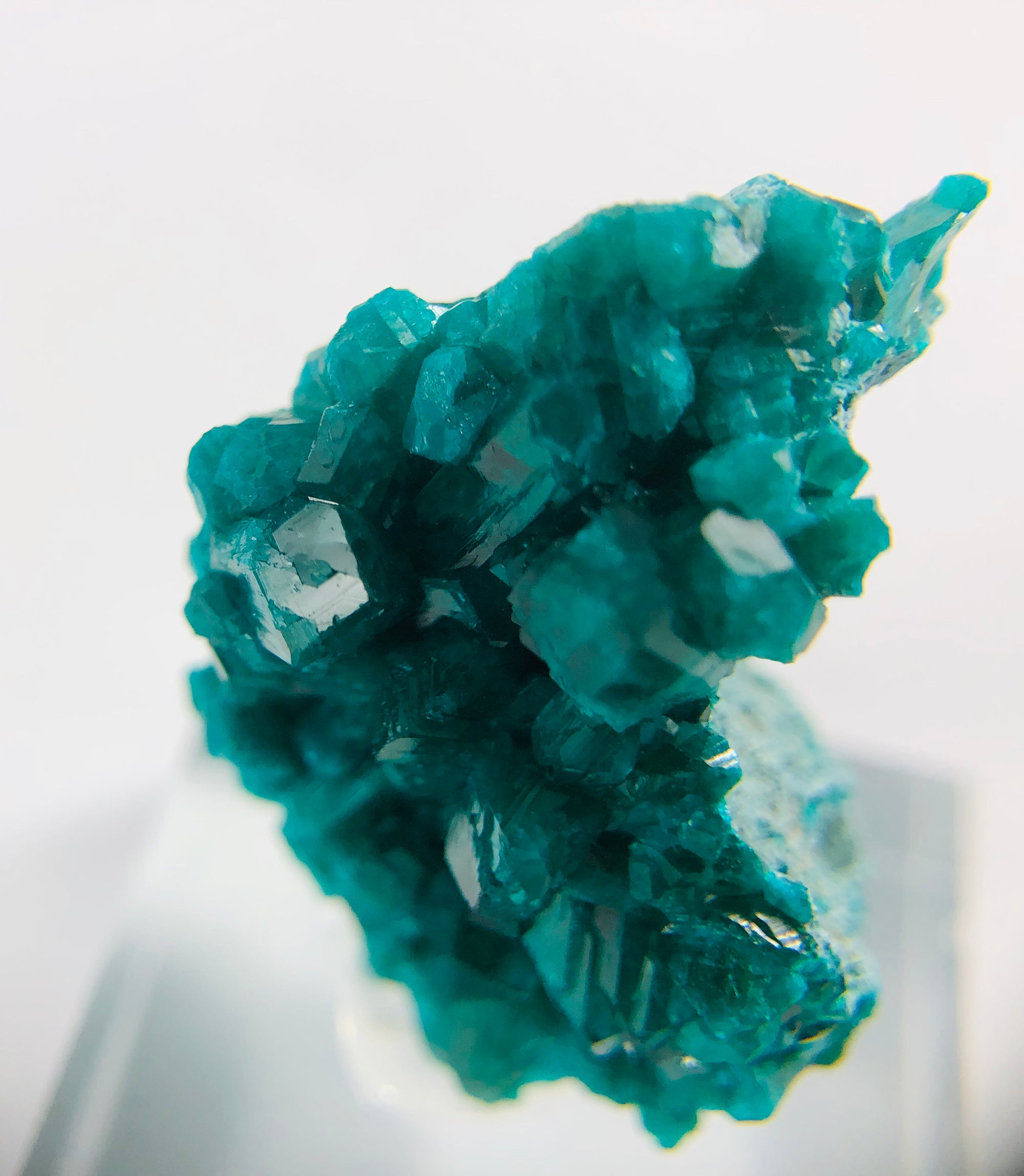 Dioptase Specimen, DRC