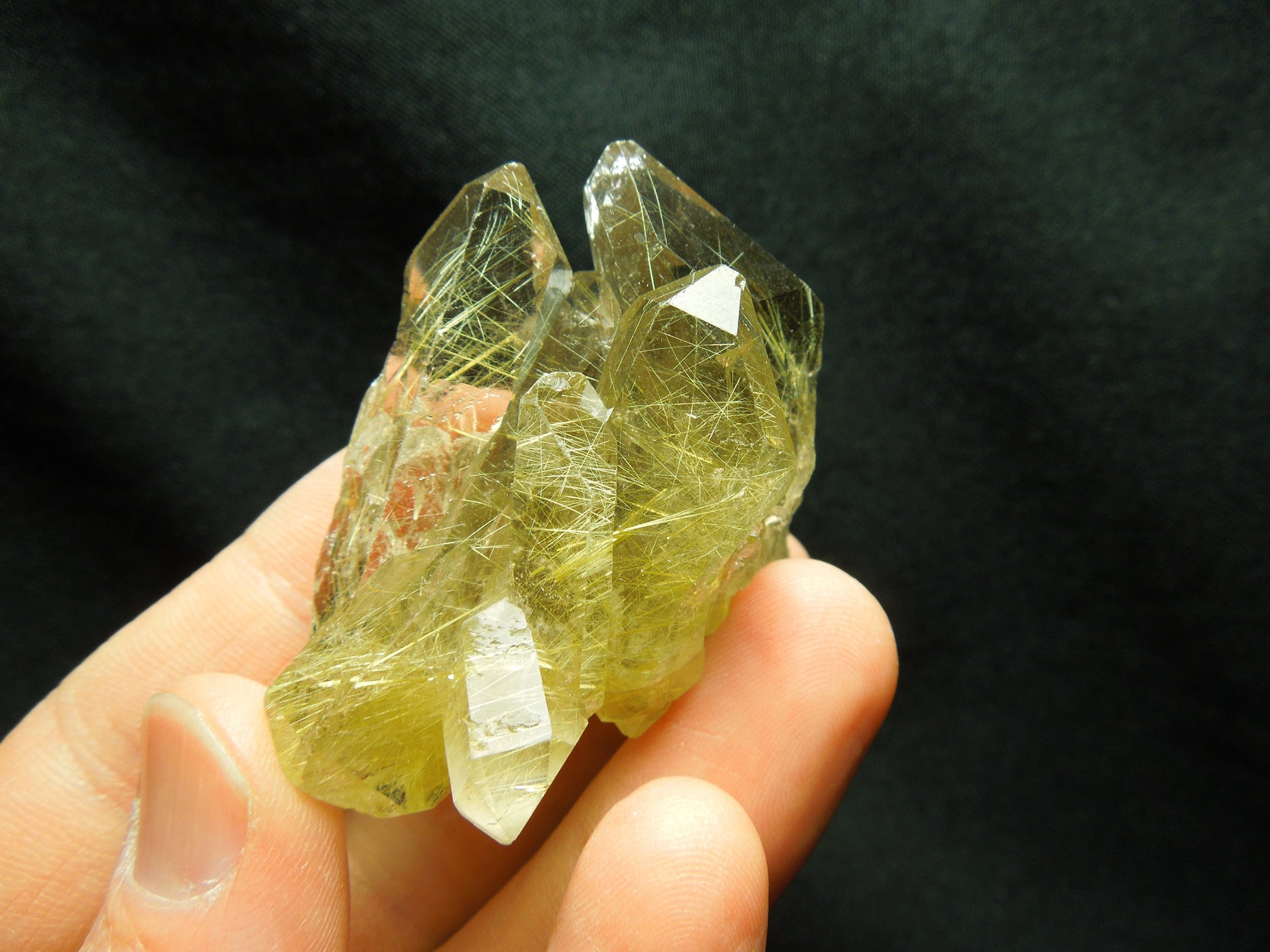 Rutilated Quartz
