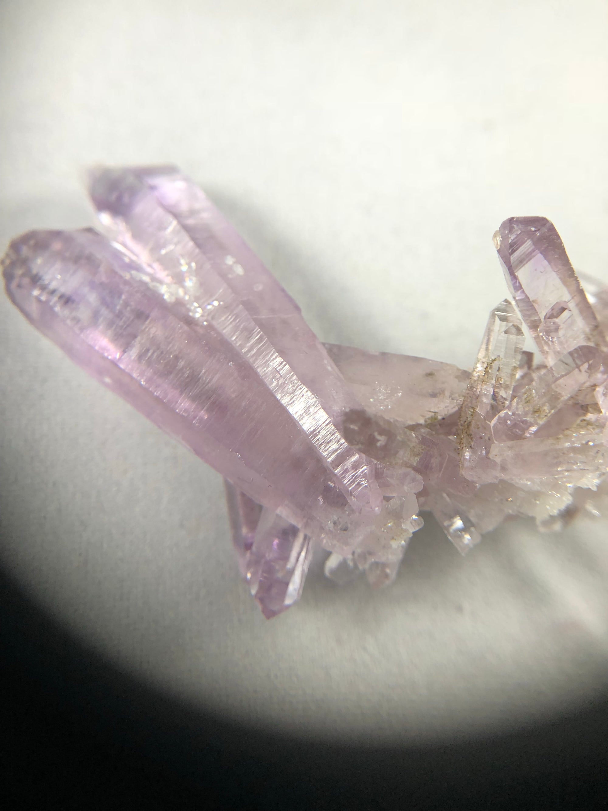 Vera Cruz Amethyst