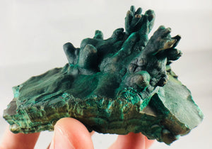 Malachite Stalactite Cluster