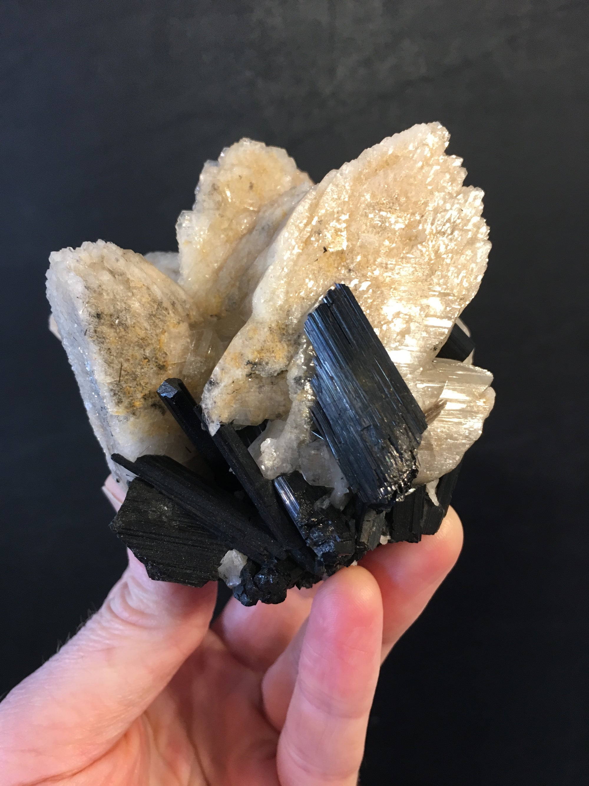 Black Tourmaline w/ Cleavelandite, Brasil