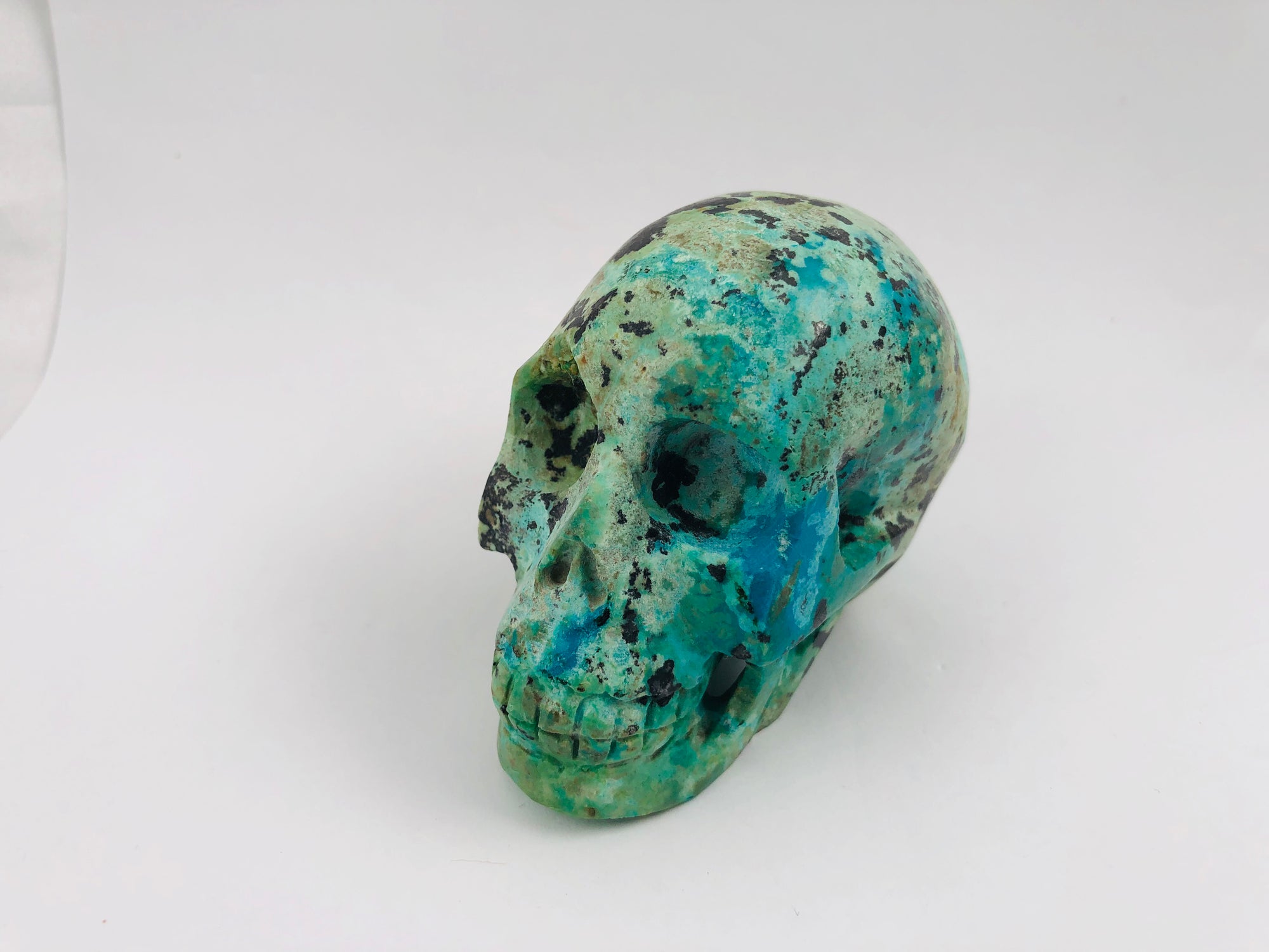 Chrysocolla Skull