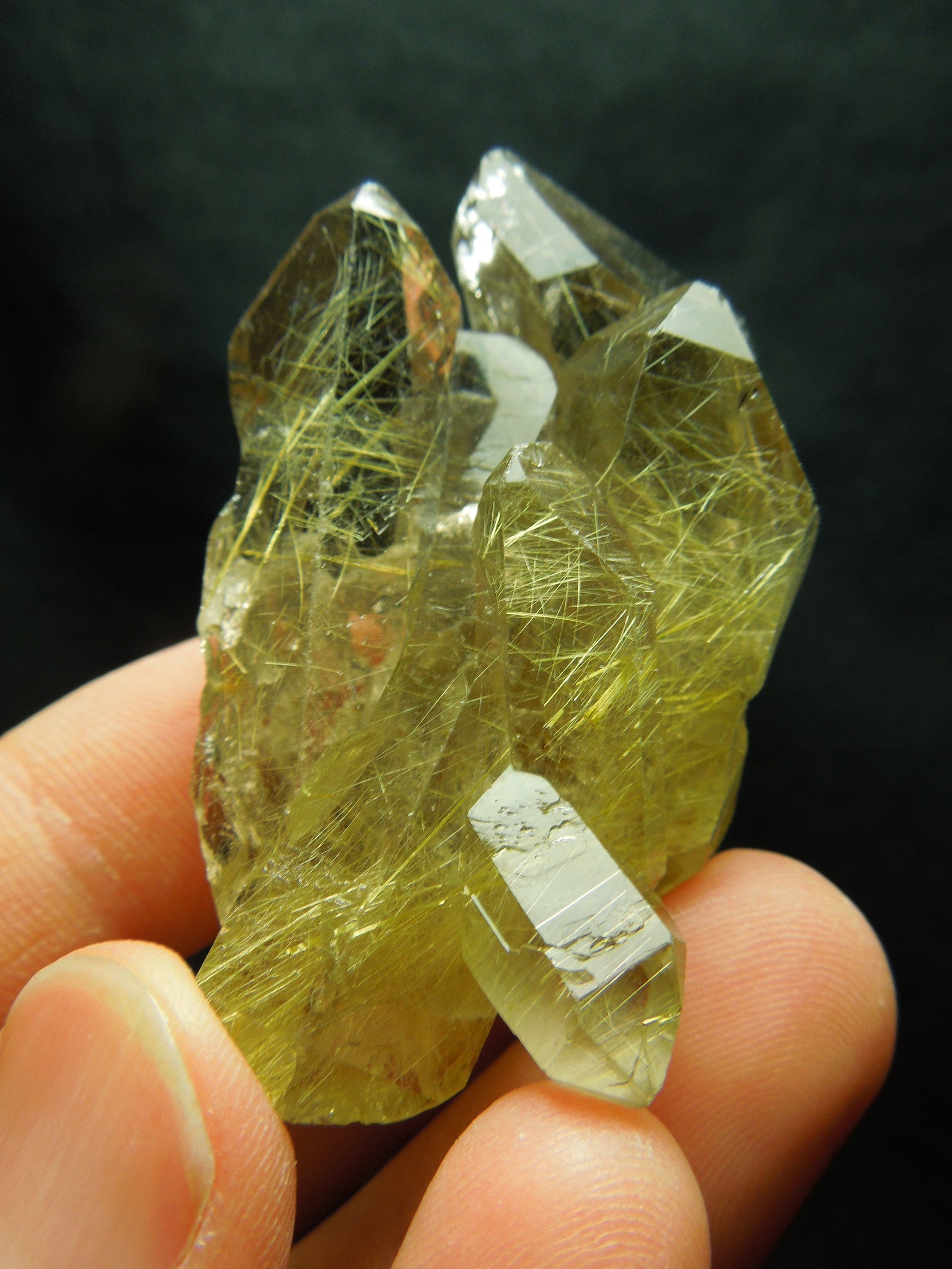 Rutilated Quartz