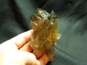 Smoky Quartz Cluster